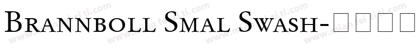 Brannboll Smal Swash字体转换